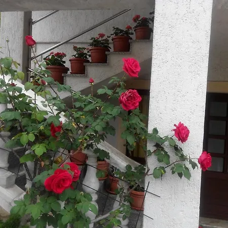 Apartment Andreja Opatija